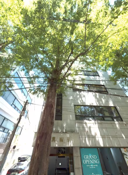 tree photo