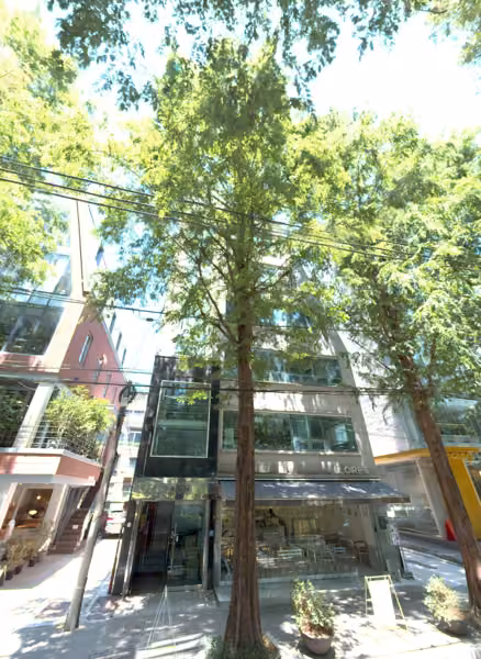 tree photo
