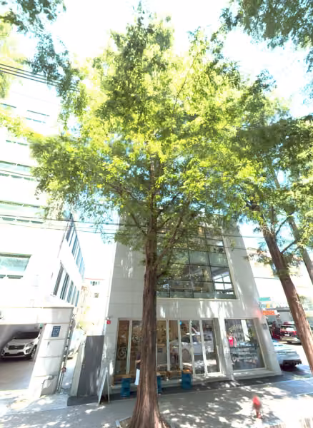 tree photo