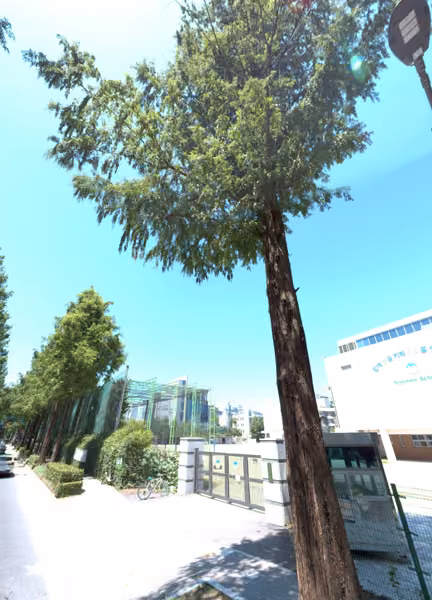 tree photo