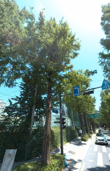 tree photo