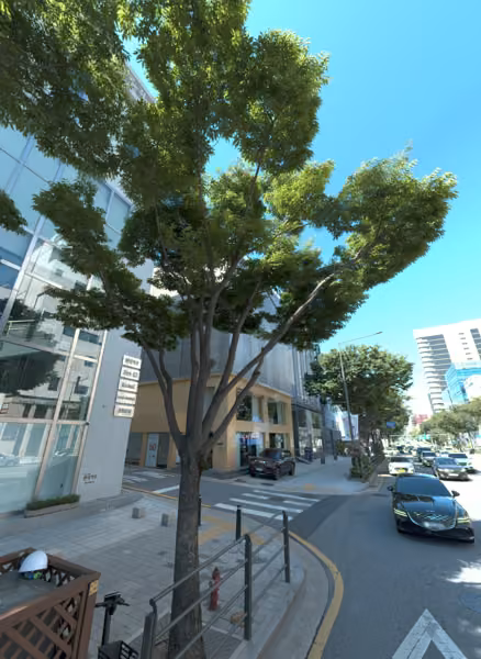 tree photo