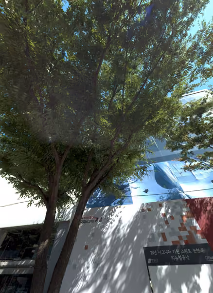 tree photo