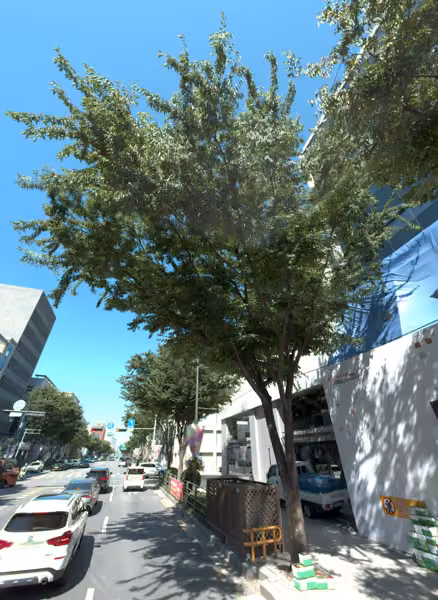 tree photo