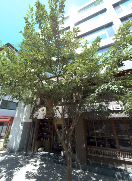 tree photo