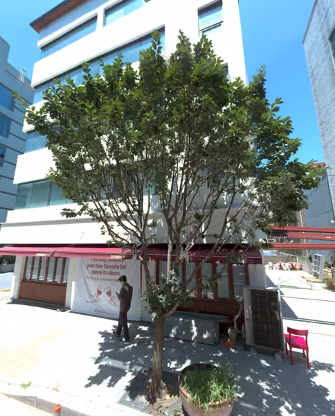 tree photo