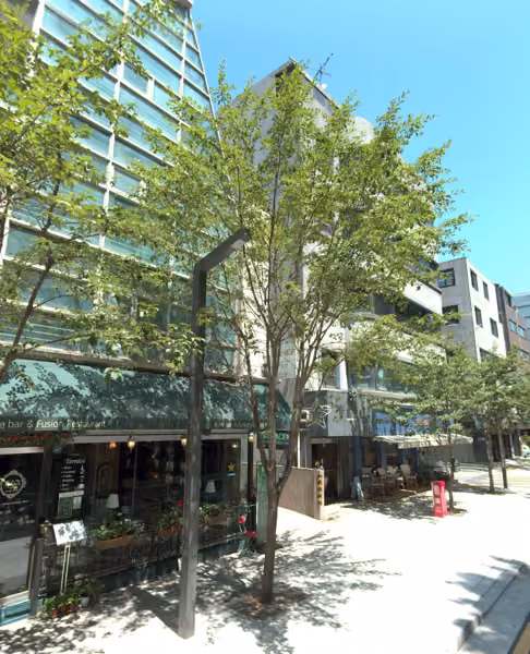tree photo
