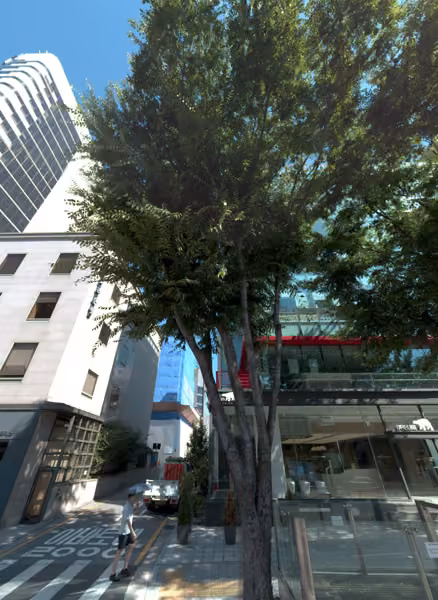 tree photo
