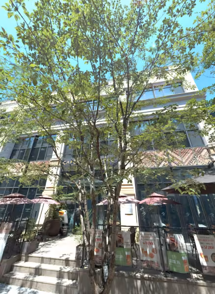 tree photo