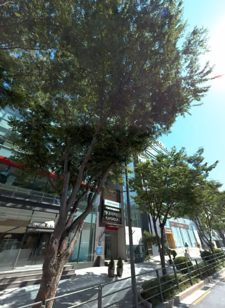 tree photo
