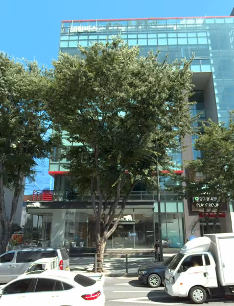 tree photo