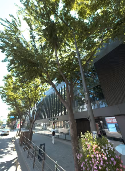 tree photo