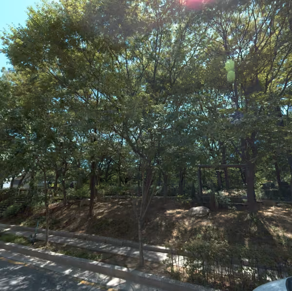tree photo
