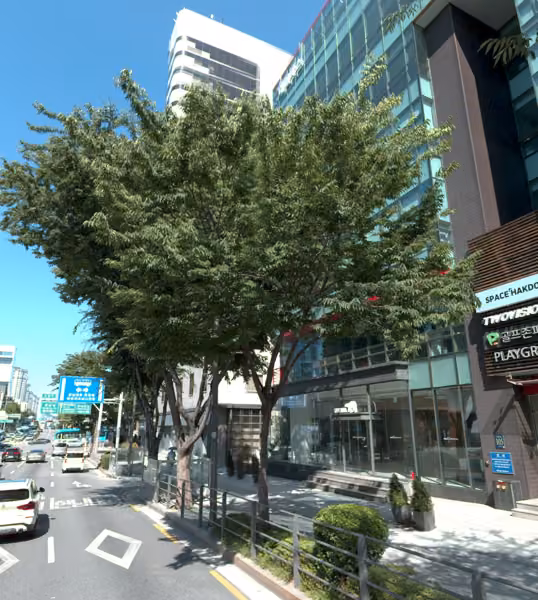 tree photo
