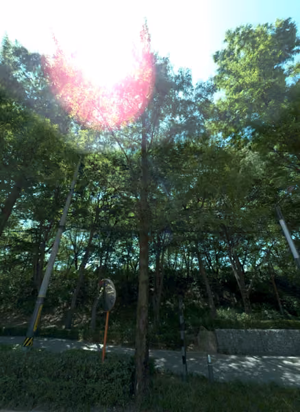 tree photo