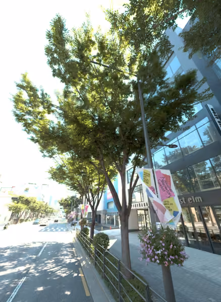 tree photo