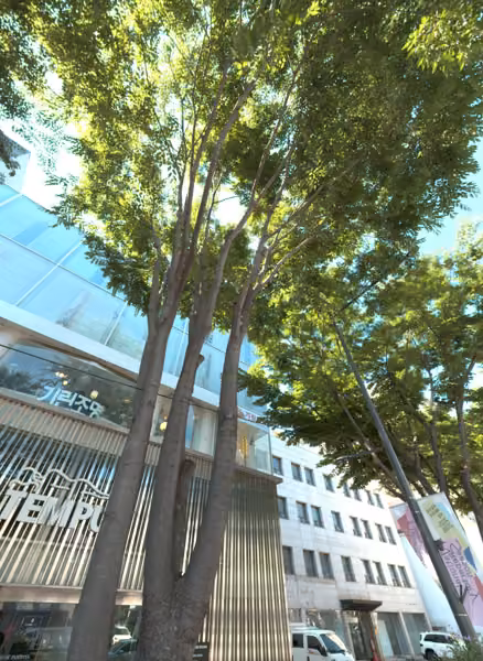 tree photo