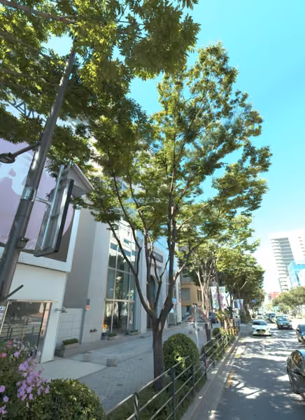 tree photo
