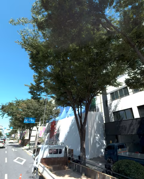 tree photo