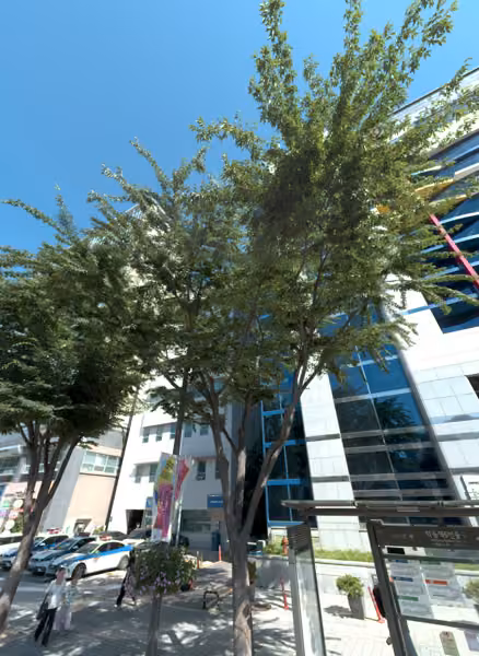 tree photo