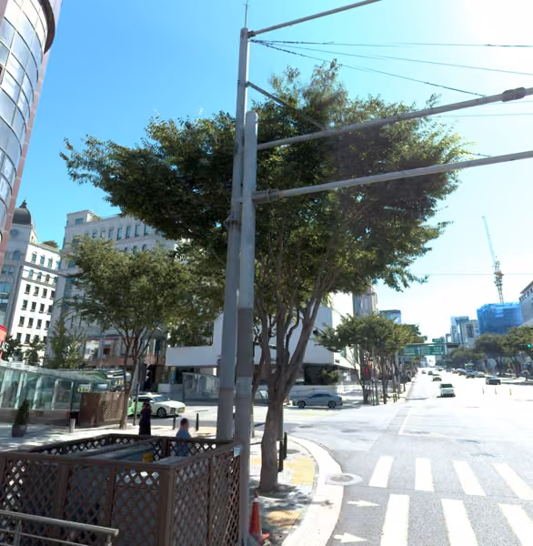 tree photo