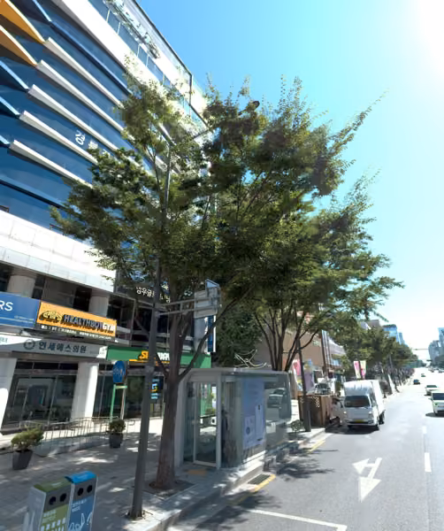 tree photo