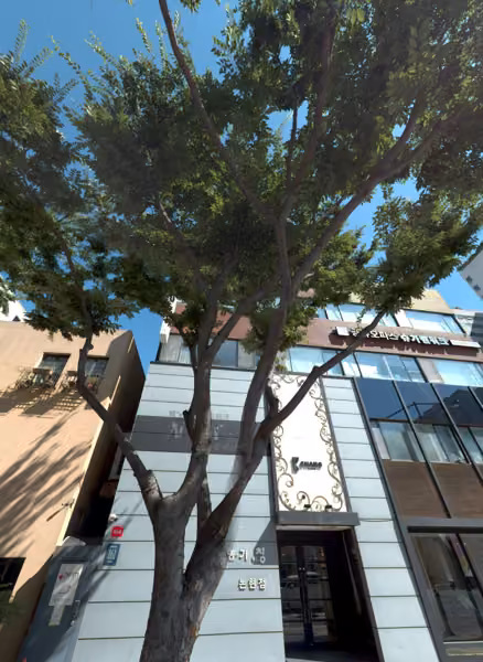 tree photo