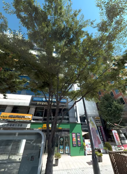 tree photo