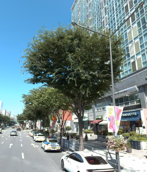 tree photo
