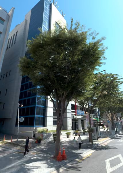 tree photo