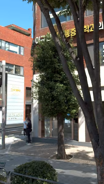 tree photo