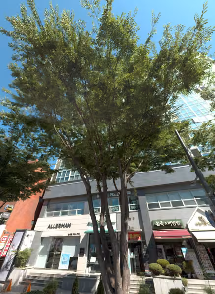 tree photo
