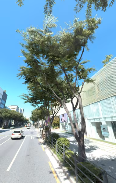 tree photo