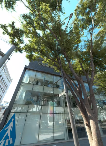 tree photo