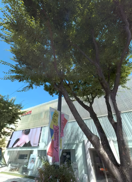tree photo