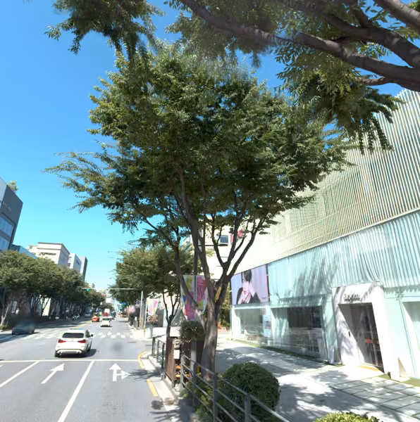 tree photo