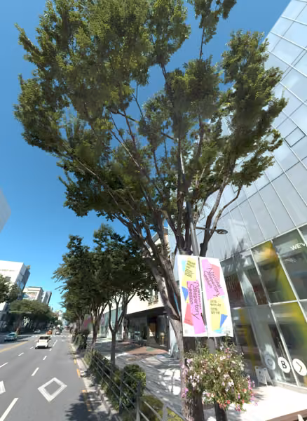tree photo