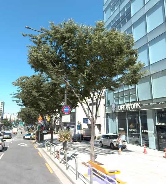 tree photo