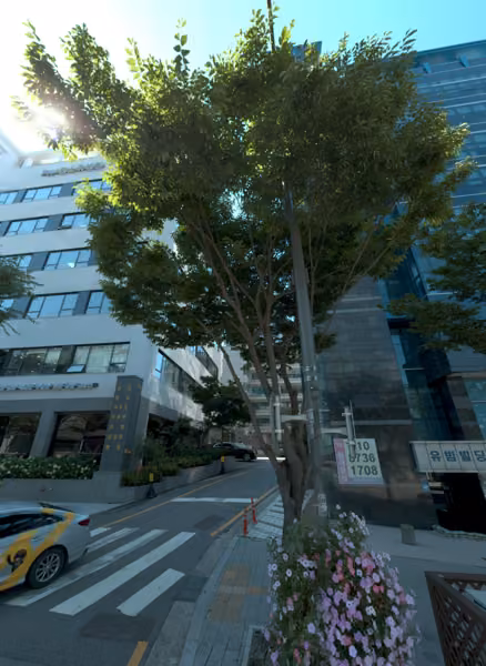 tree photo