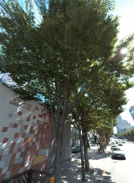 tree photo