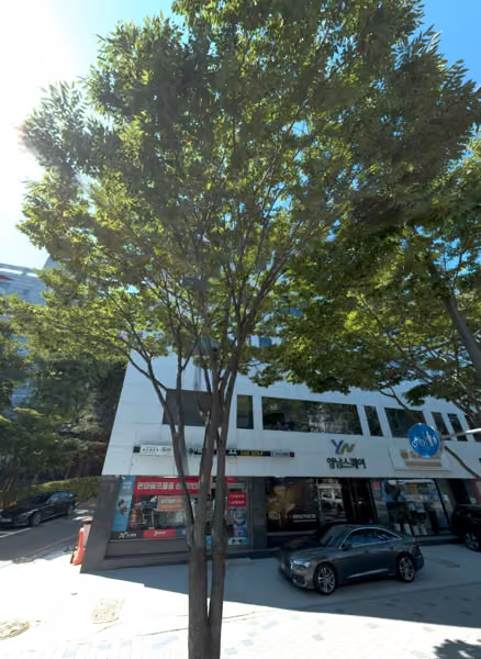 tree photo
