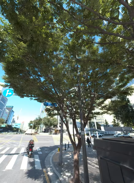tree photo