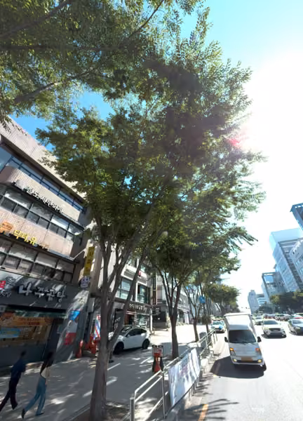 tree photo