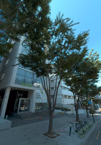 tree photo
