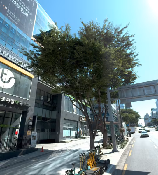 tree photo