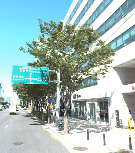 tree photo