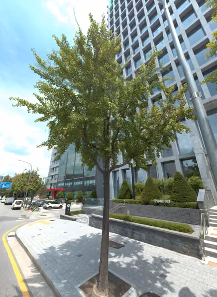 tree photo
