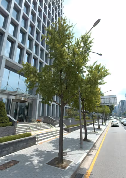 tree photo
