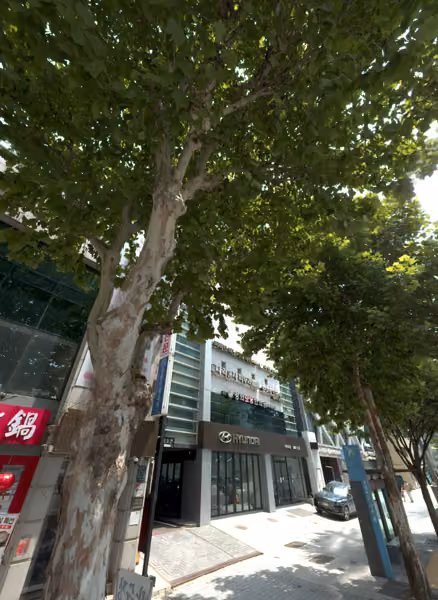 tree photo