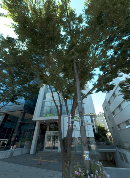 tree photo